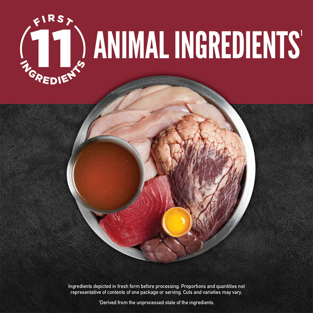 ORIJEN Chunks & Shreds - Beef & Tuna Entrée Wet Cat Food - Image 4