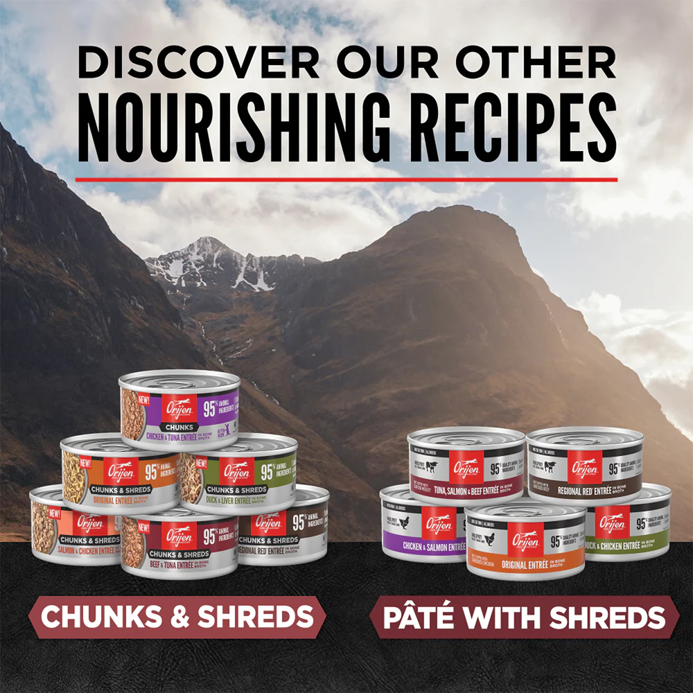 ORIJEN Chunks & Shreds - Beef & Tuna Entrée Wet Cat Food - Image 5