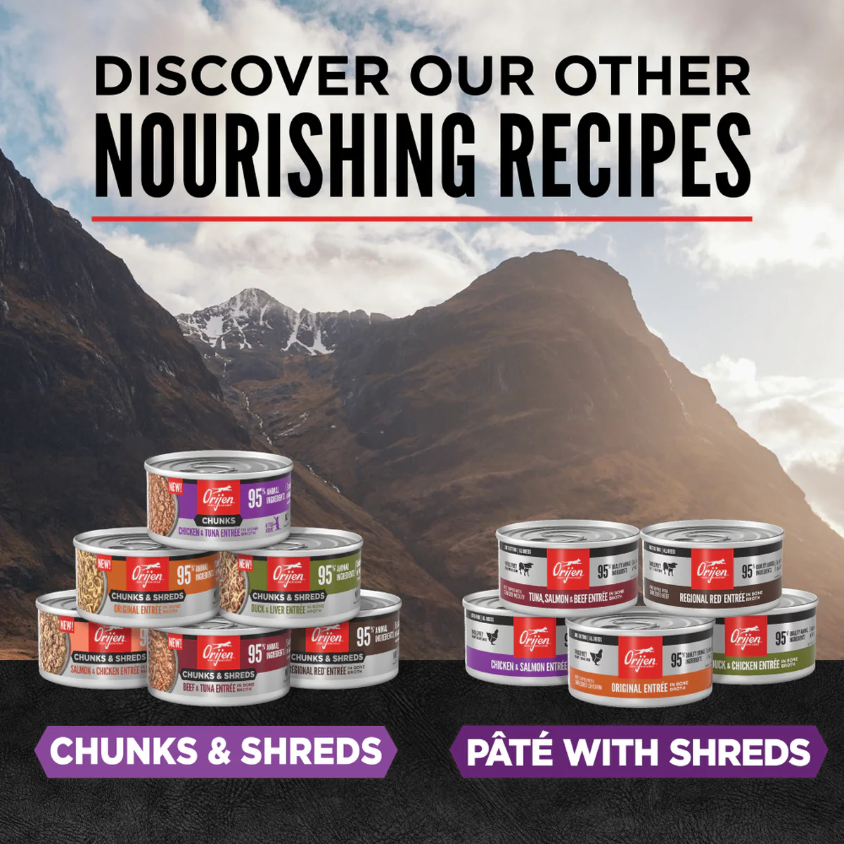 ORIJEN Chunks & Shreds - Chicken & Tuna Entrée Kitten Wet Cat Food - Image 5