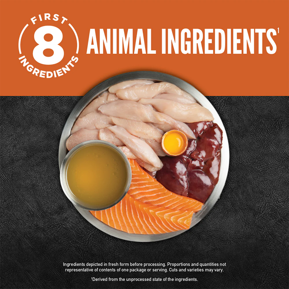 ORIJEN Chunks & Shreds - Original Entrée Adult Wet Cat Food - Image 4