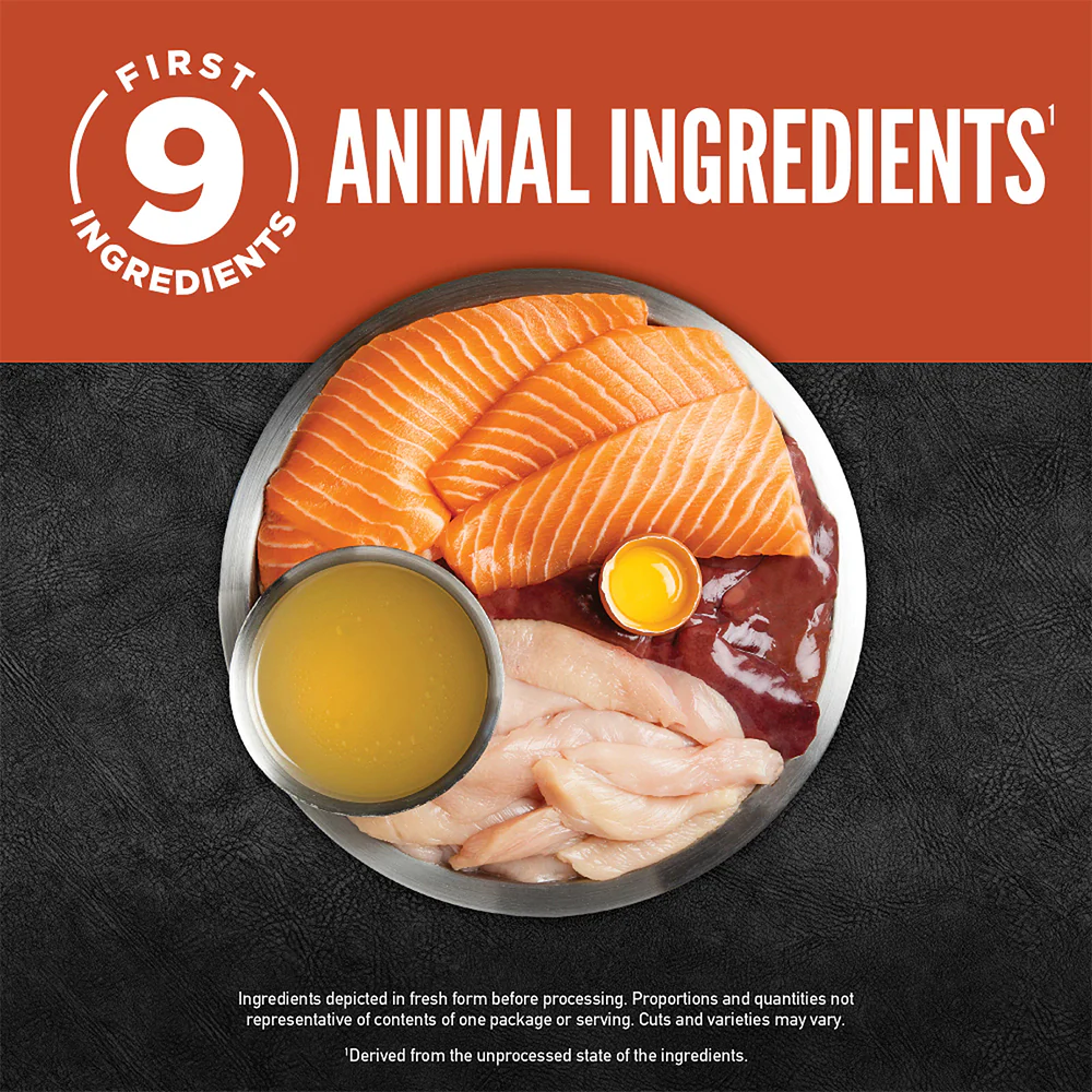 ORIJEN Chunks & Shreds - Salmon & Chicken Entrée Adult Wet Cat Food - Image 4