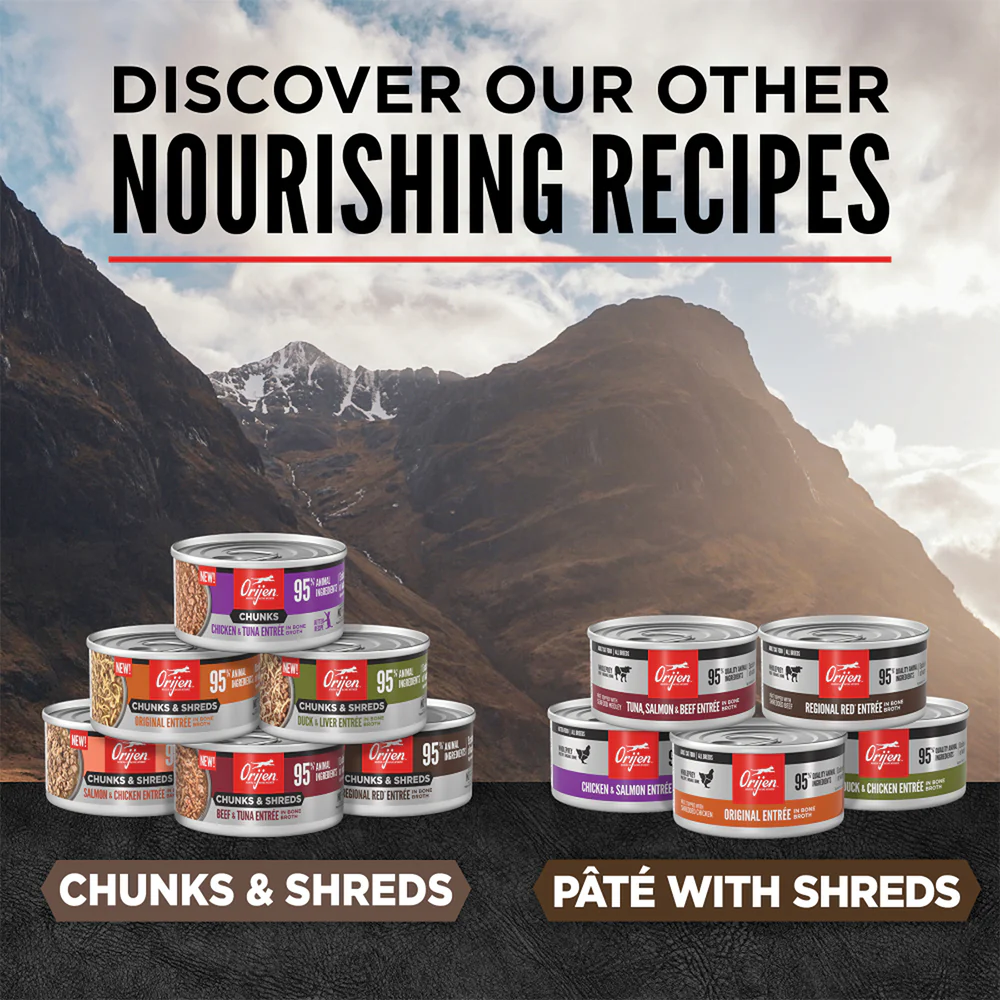 ORIJEN Chunks & Shreds - Salmon & Chicken Entrée Adult Wet Cat Food - Image 5