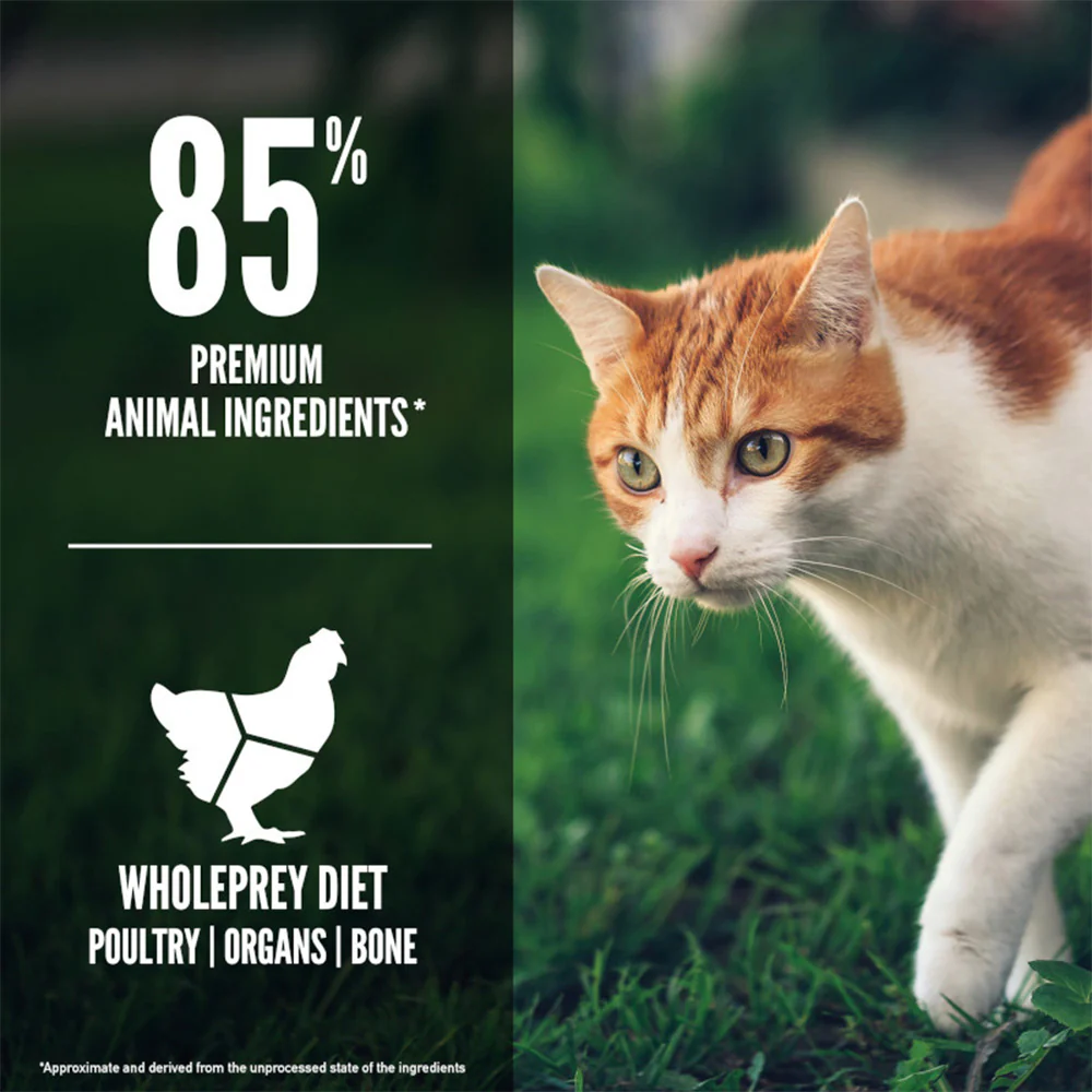 ORIJEN Fit & Trim Biologically Appropriate Dry Cat Food - Image 4