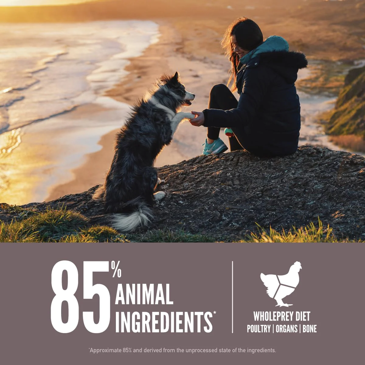 ORIJEN Fit & Trim Biologically Appropriate Dry Dog Food - Image 3