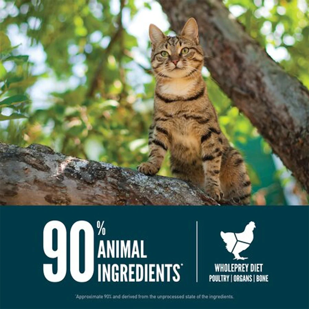 ORIJEN Guardian 8 Biologically Appropriate Dry Cat Food - Image 4