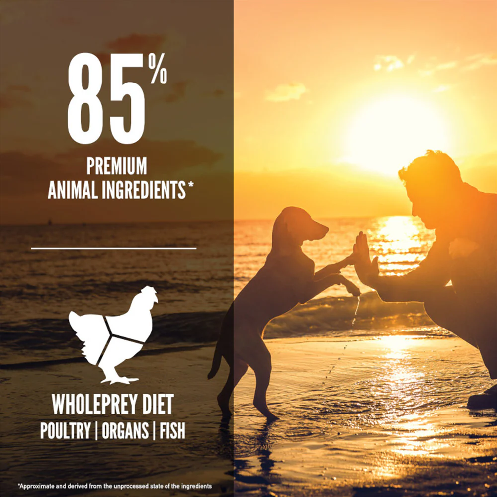 ORIJEN Puppy Biologically Appropriate Dry Dog Food - Image 3