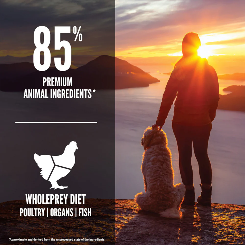 ORIJEN Senior Biologically Appropriate Dry Dog Food - Image 4