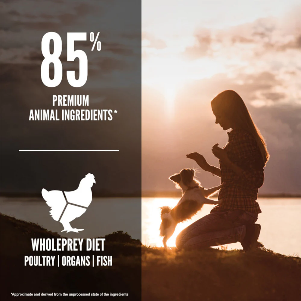ORIJEN Small Breed Biologically Appropriate Dry Dog Food - Image 3