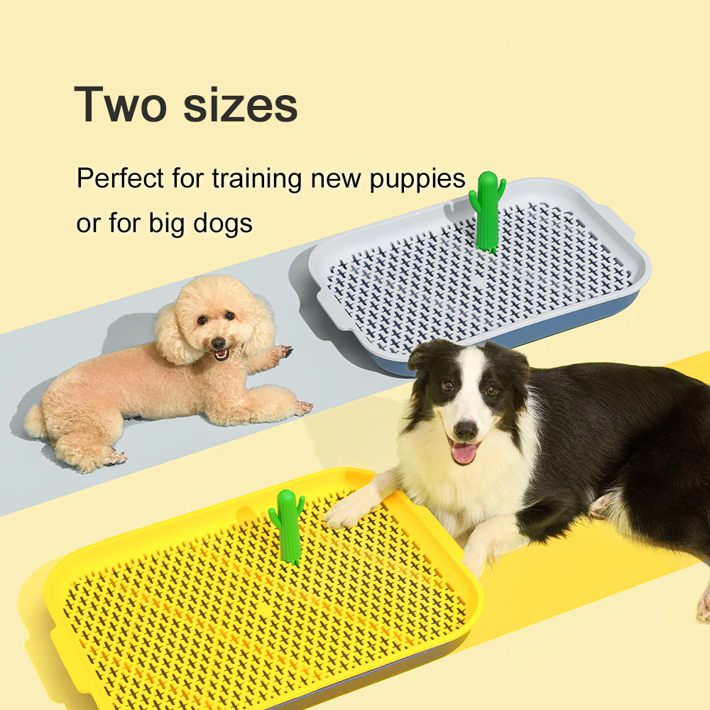 PAKEWAY Blue Cactus Dog Toilet Training Pad - Image 11