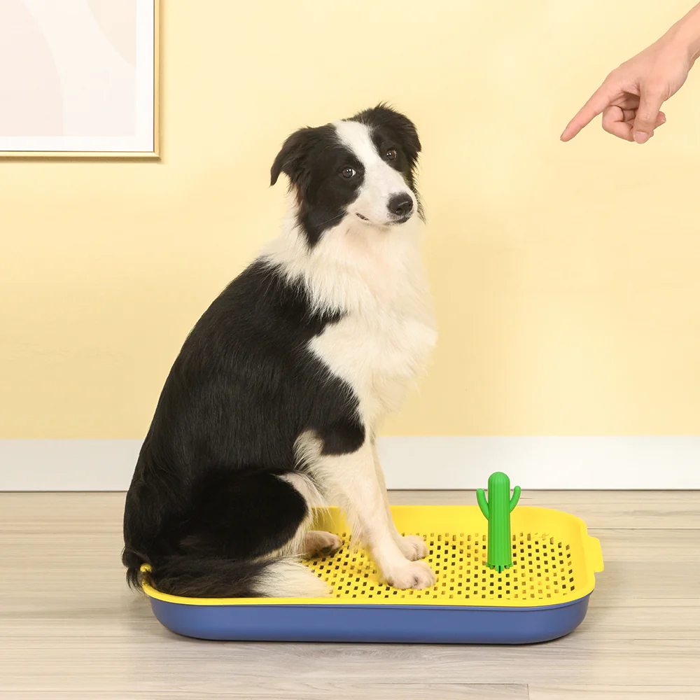 PAKEWAY Blue Cactus Dog Toilet Training Pad - Image 16