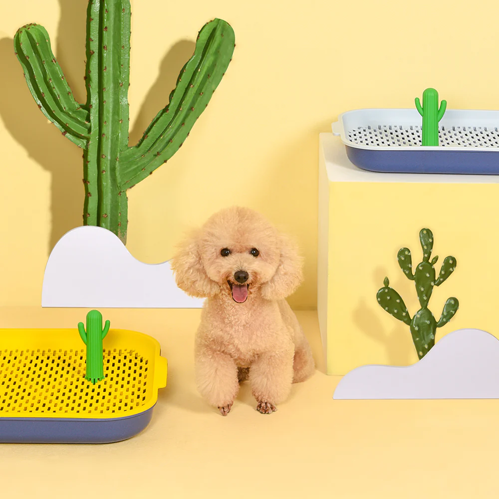 PAKEWAY Yellow Cactus Dog Toilet Training Pad - Image 13