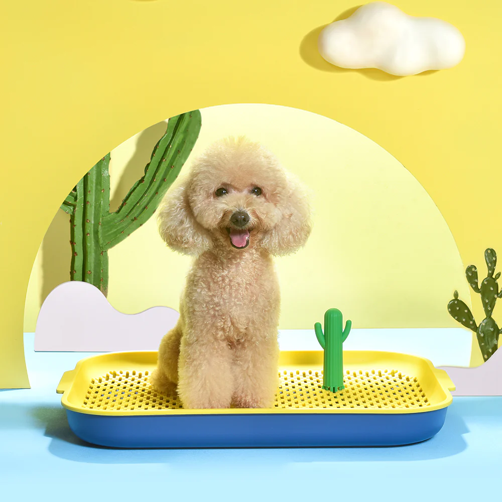 PAKEWAY Yellow Cactus Dog Toilet Training Pad - Image 14