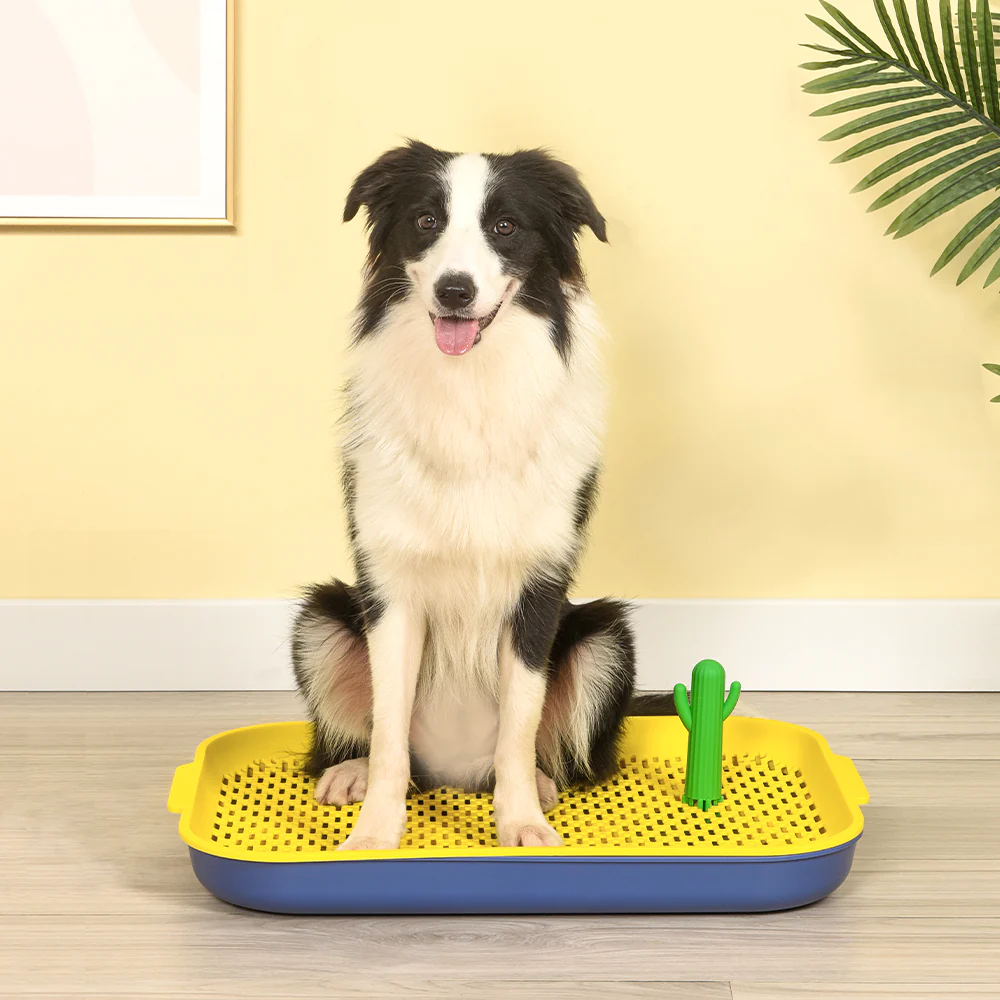 PAKEWAY Yellow Cactus Dog Toilet Training Pad - Image 15