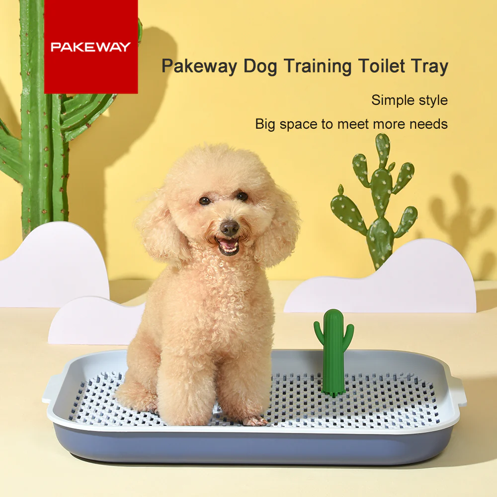 PAKEWAY Yellow Cactus Dog Toilet Training Pad - Image 4
