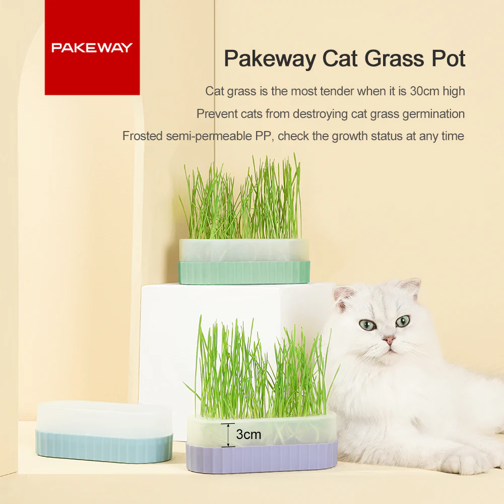 PAKEWAY Green Cat Grass Pot with 2 pcs bags of Wheat Seed - Image 3
