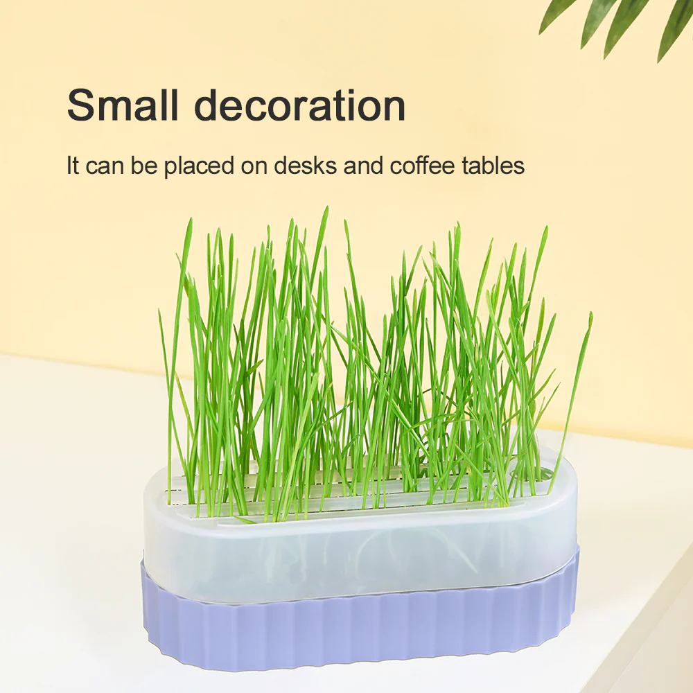 PAKEWAY Cyan Cat Grass Pot with 2 pcs bags of Wheat Seed - Image 3