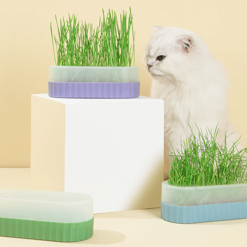PAKEWAY Purple Cat Grass Pot with 2 pcs Bags Of Wheat Seed - Image 2