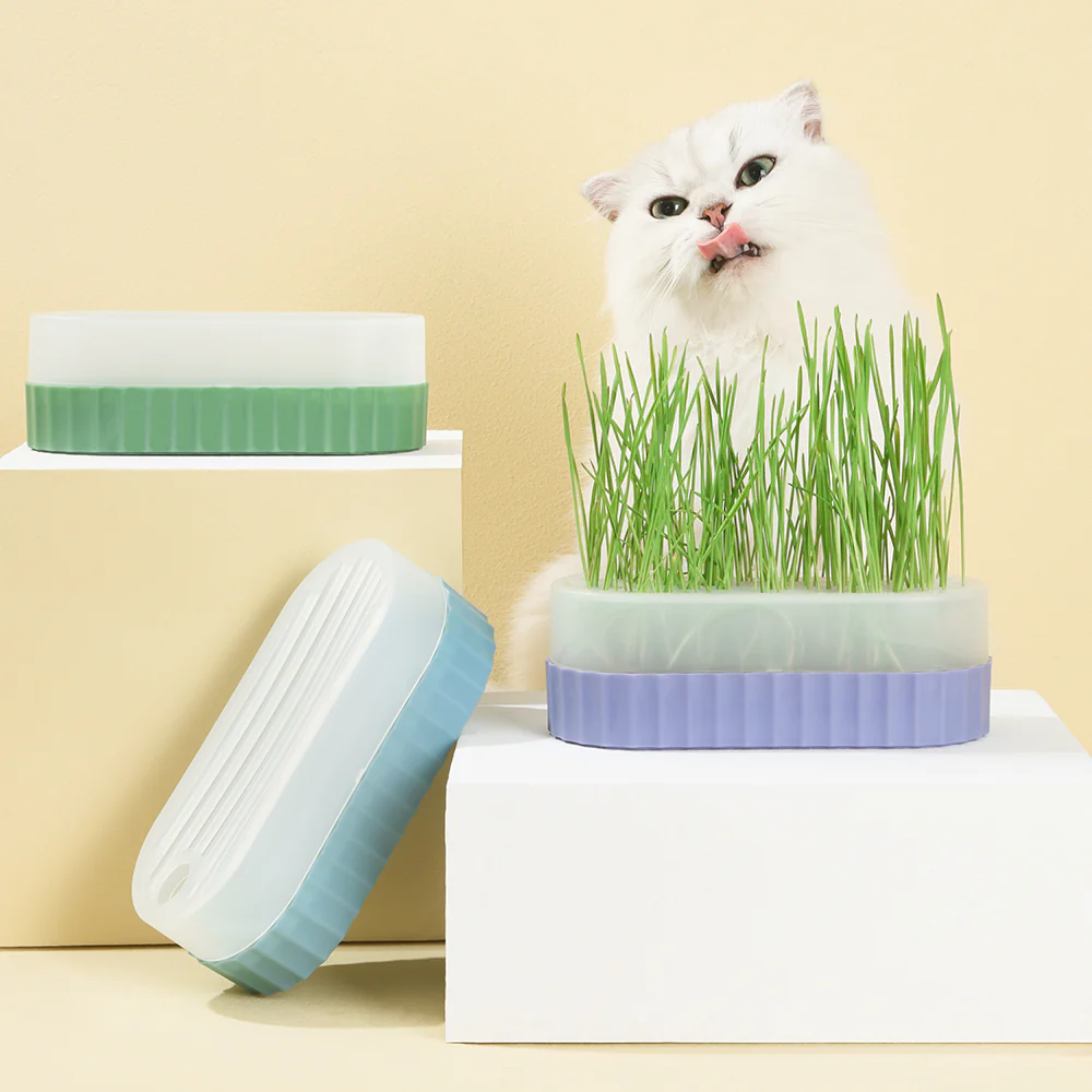 PAKEWAY Purple Cat Grass Pot with 2 pcs Bags Of Wheat Seed - Image 3