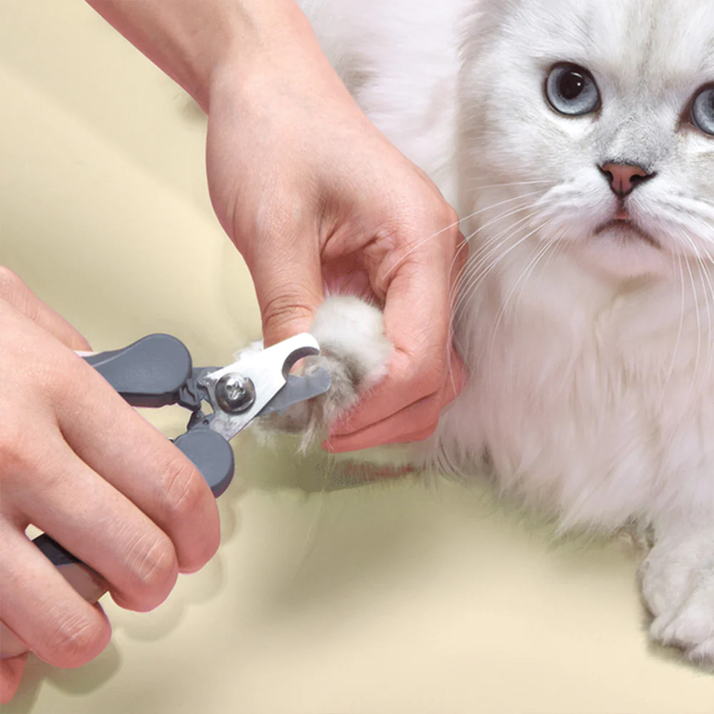 PAKEWAY Aqua Large T9 Dog Nail Clipper - Image 2