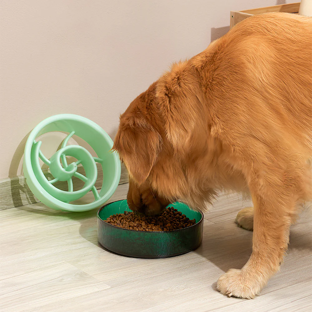 PAKEWAY Green Glass Slow-feed Bowl for Pets - Image 4