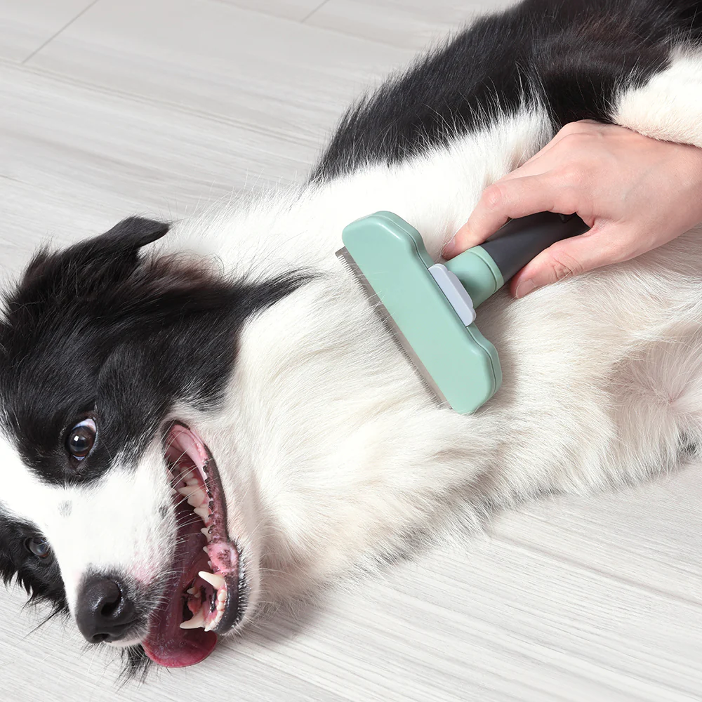 PAKEWAY T10 Self-Cleaning Long Hair Remover Dog Comb (Medium) - Image 11