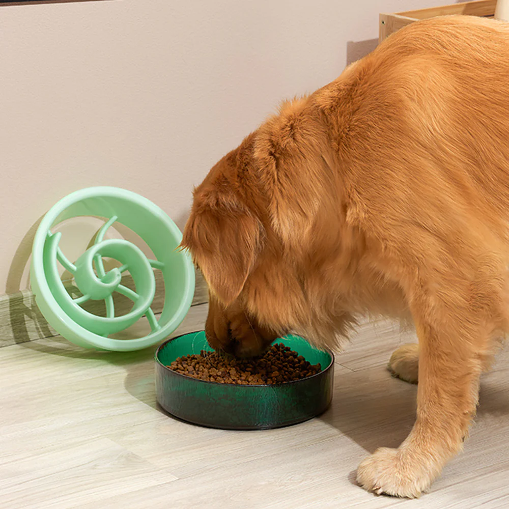 PAKEWAY Yellow Glass Slow-feed Bowl For Pets - Image 4