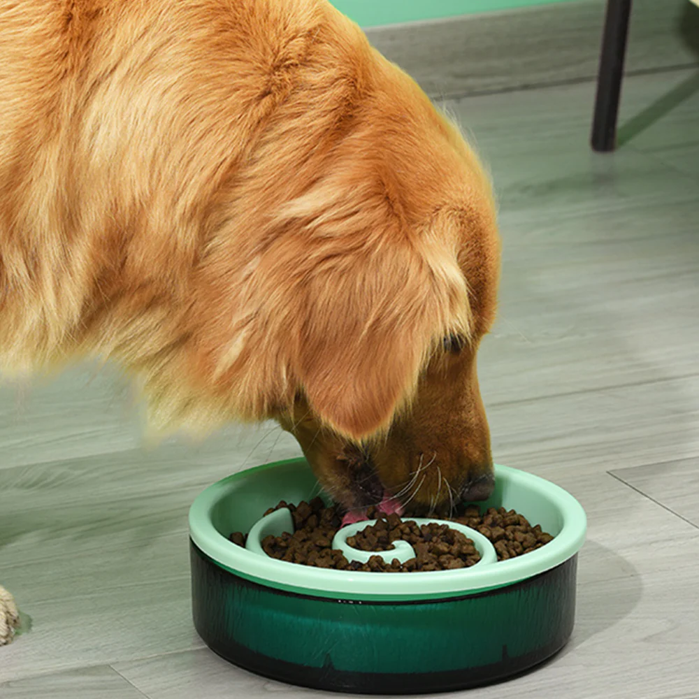 PAKEWAY Yellow Glass Slow-feed Bowl For Pets - Image 5