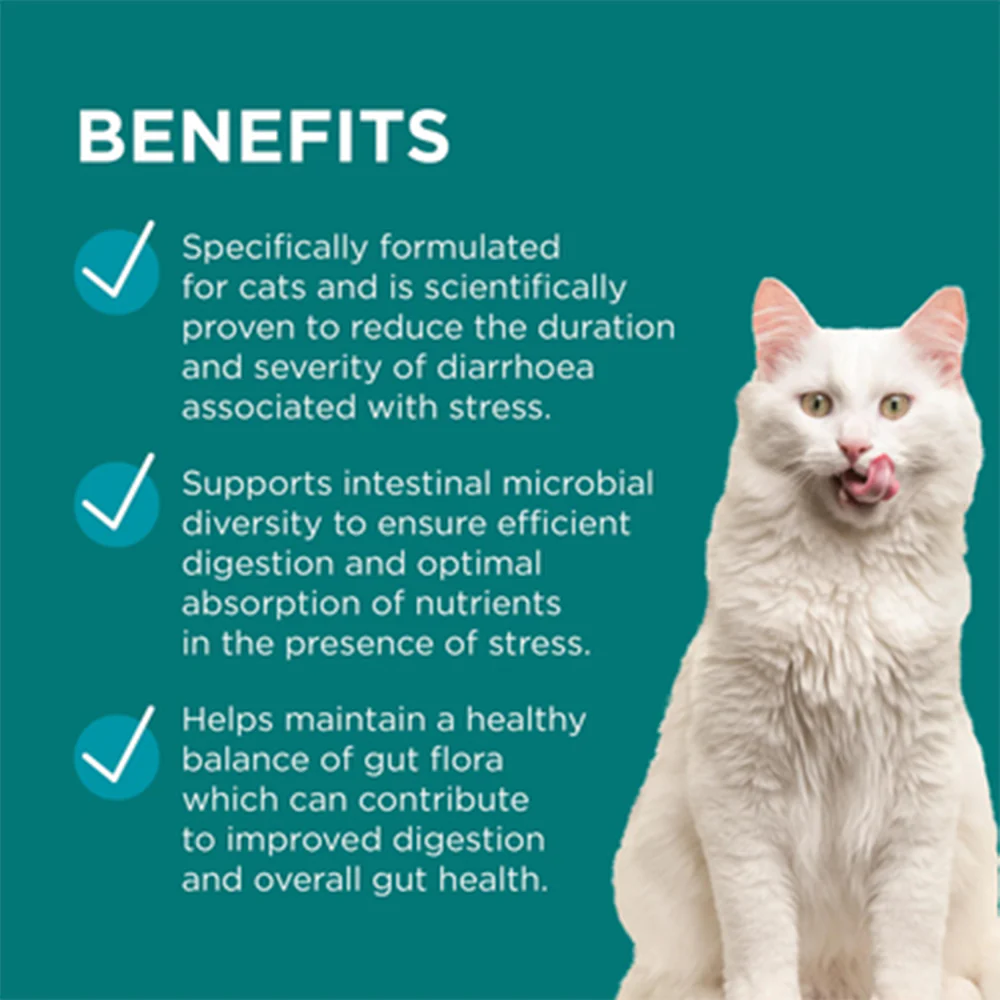 PAW Digesticare For Cats 30s - Image 4