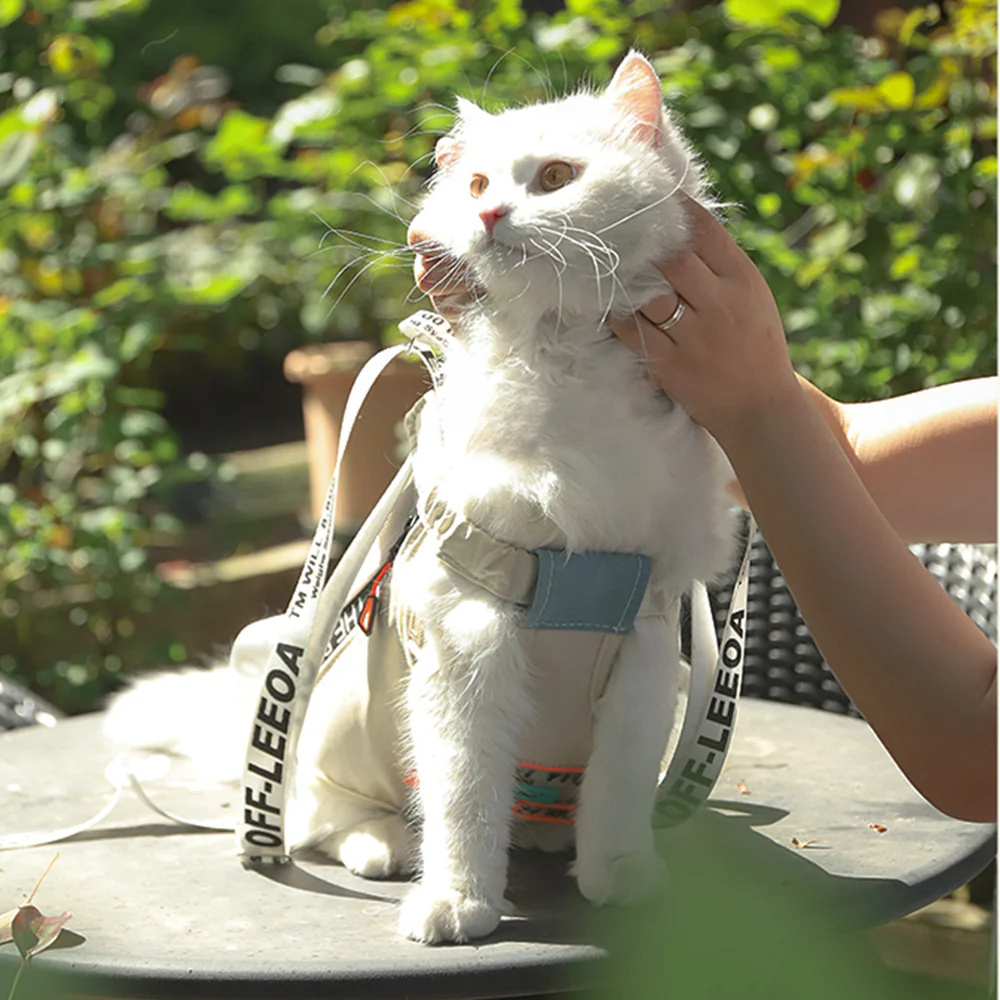Morandi Medium Backpack Pet Carrier - Image 3