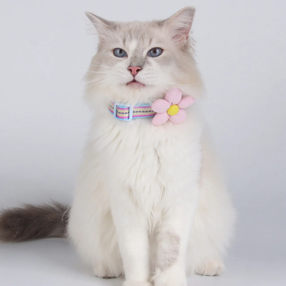 Pet Collar Personalised Engraved Cute Flower Design Adjustable - Image 12