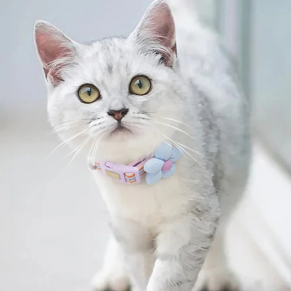 Pet Collar Personalised Engraved Cute Flower Design Adjustable - Image 15