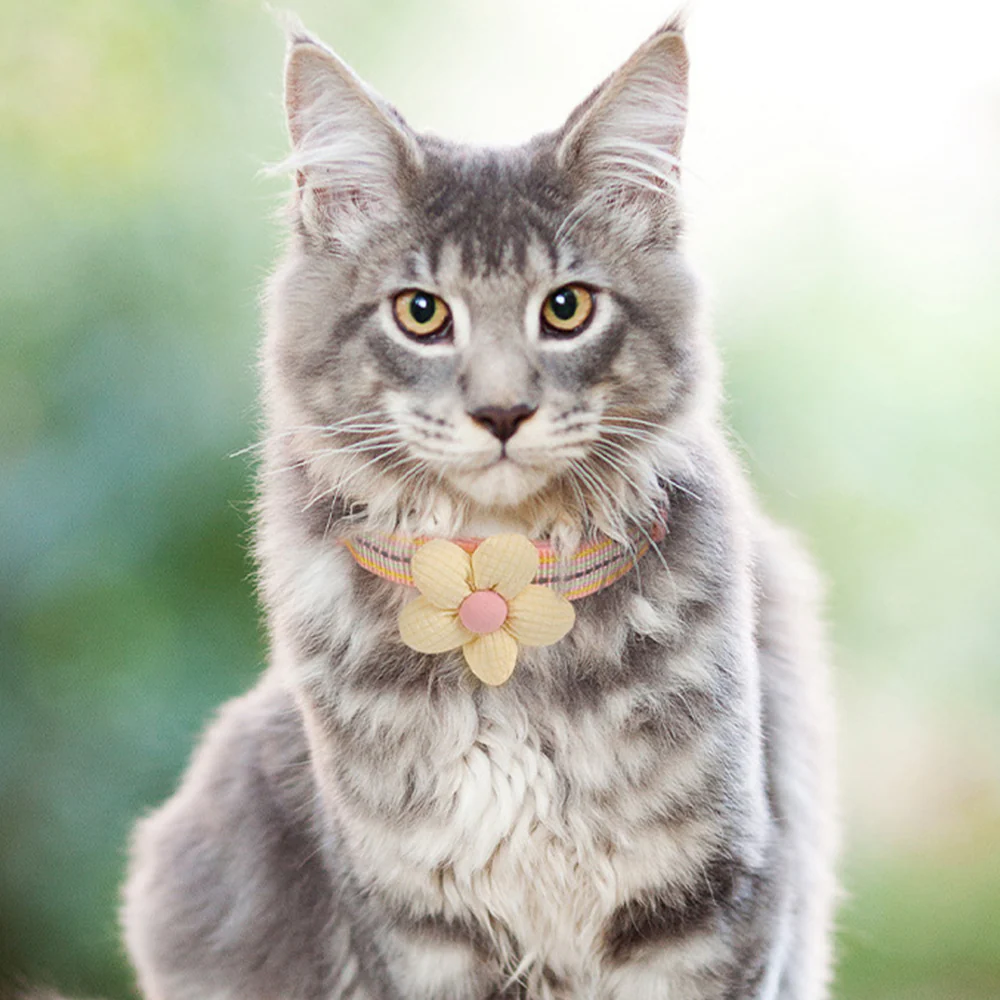 Pet Collar Personalised Engraved Cute Flower Design Adjustable - Image 17