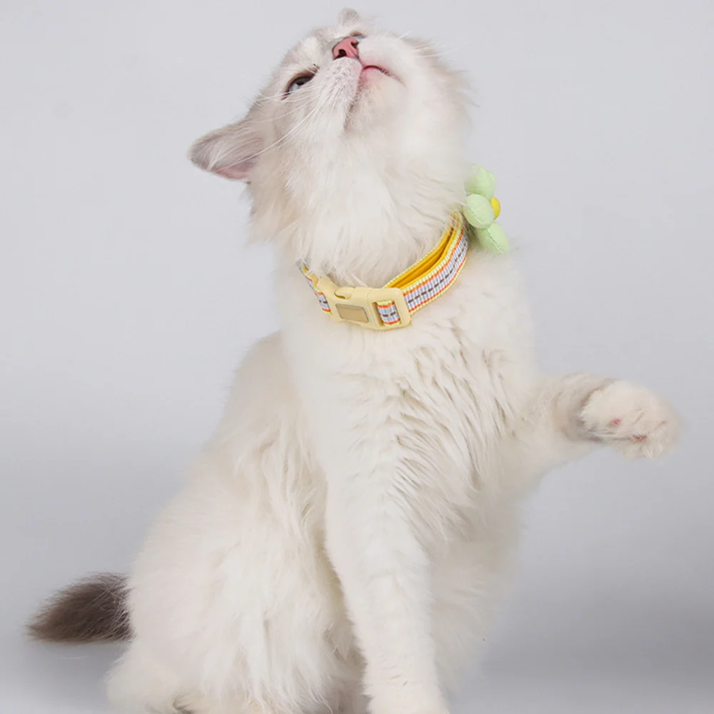 Pet Collar Personalised Engraved Cute Flower Design Adjustable - Image 18