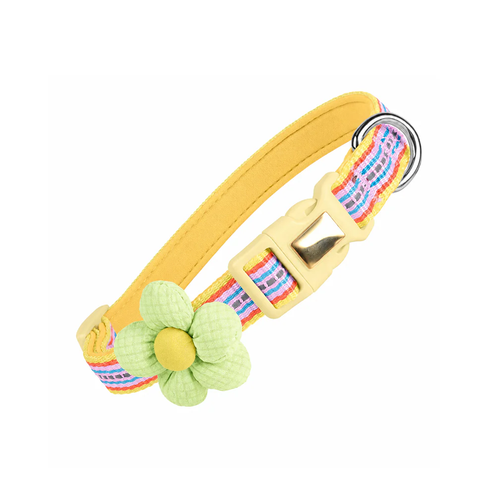 Pet Collar Personalised Engraved Cute Flower Design Adjustable - Image 21