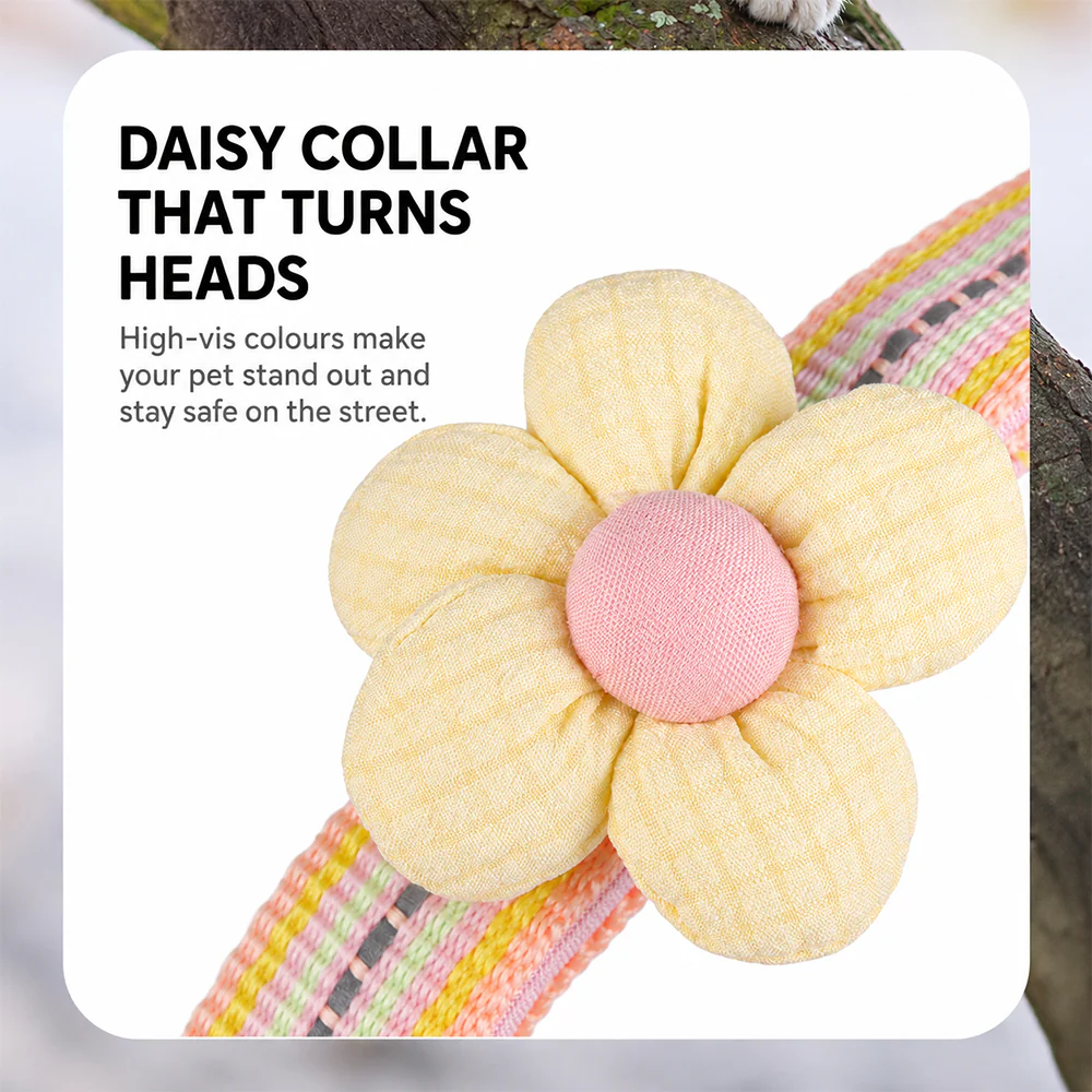 Pet Collar Personalised Engraved Cute Flower Design Adjustable - Image 4