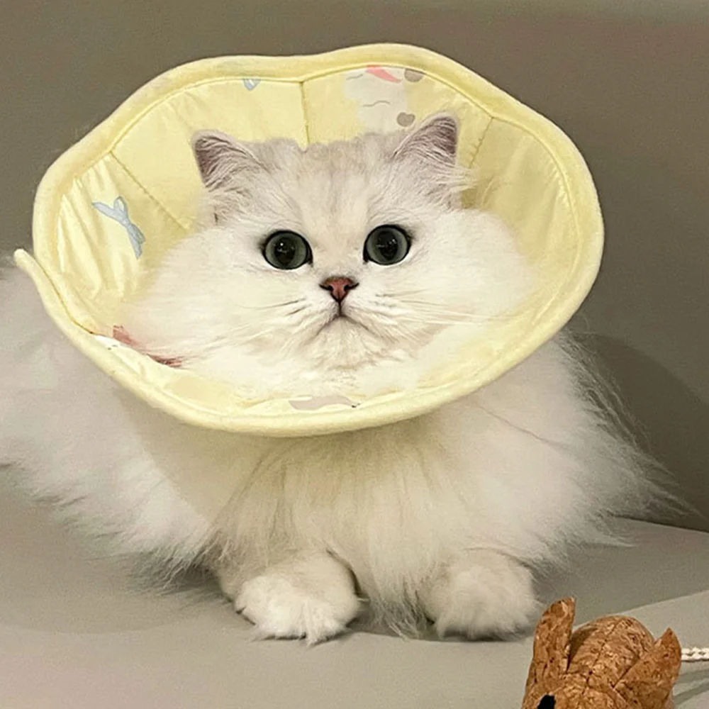 Pet Elizabethan Collar - Image 10