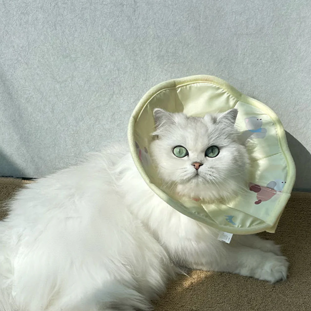 Pet Elizabethan Collar - Image 7
