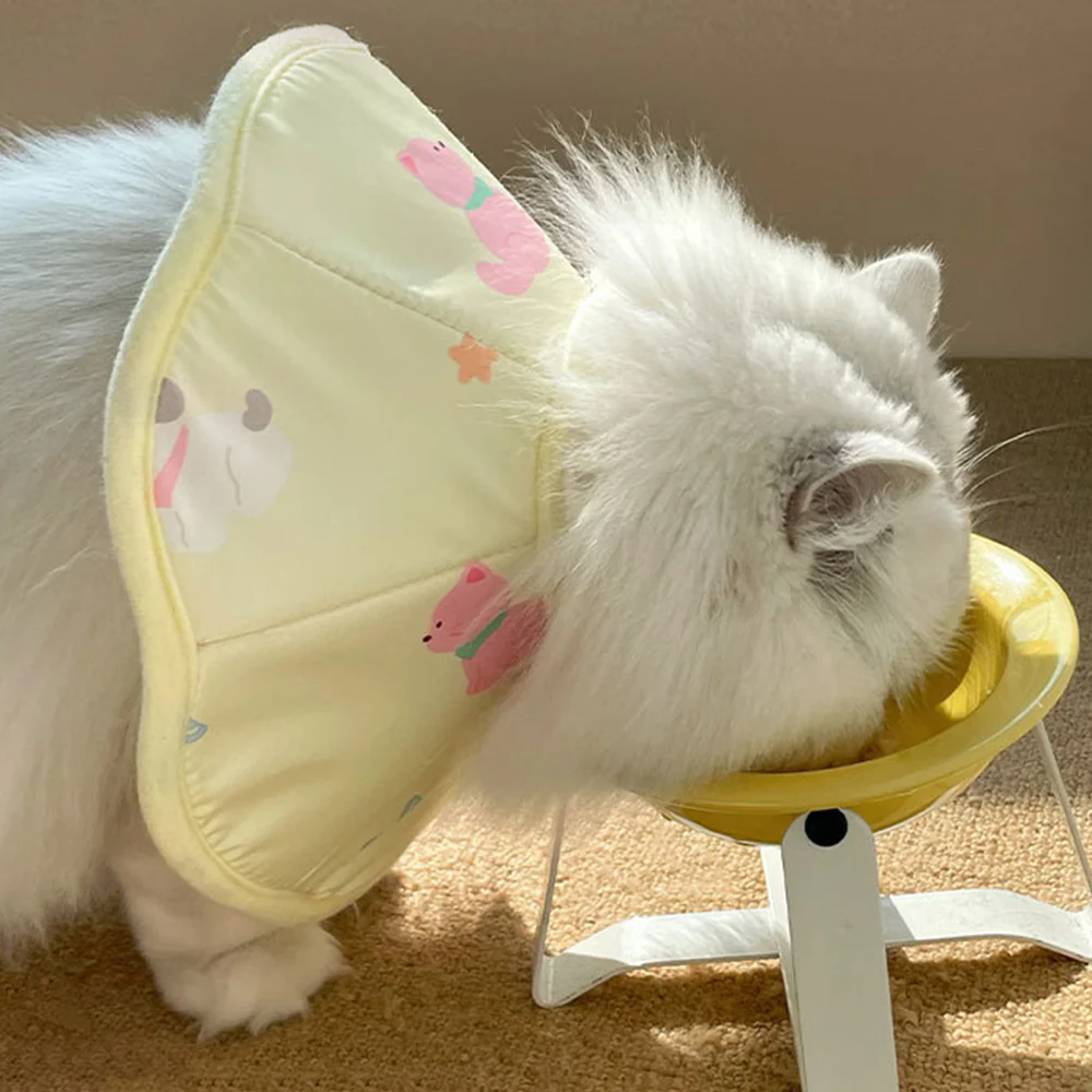 Pet Elizabethan Collar - Image 8