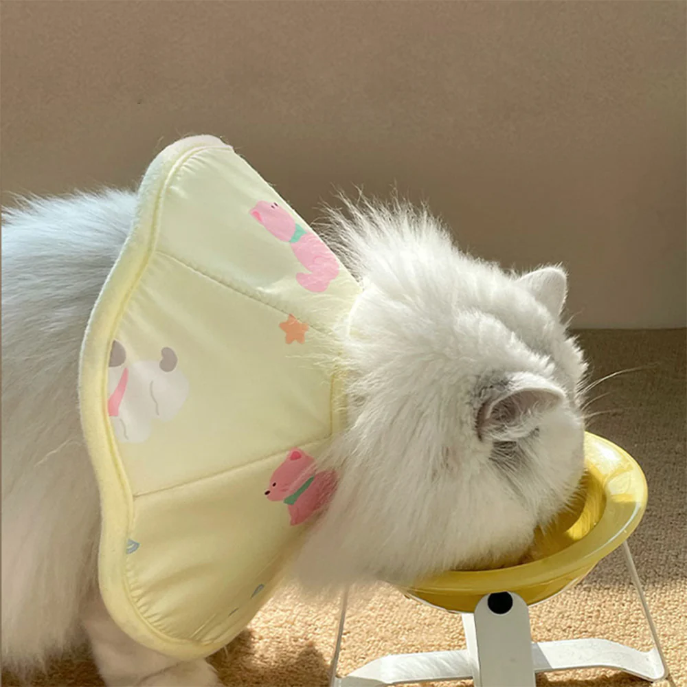Pet Elizabethan Collar - Image 9
