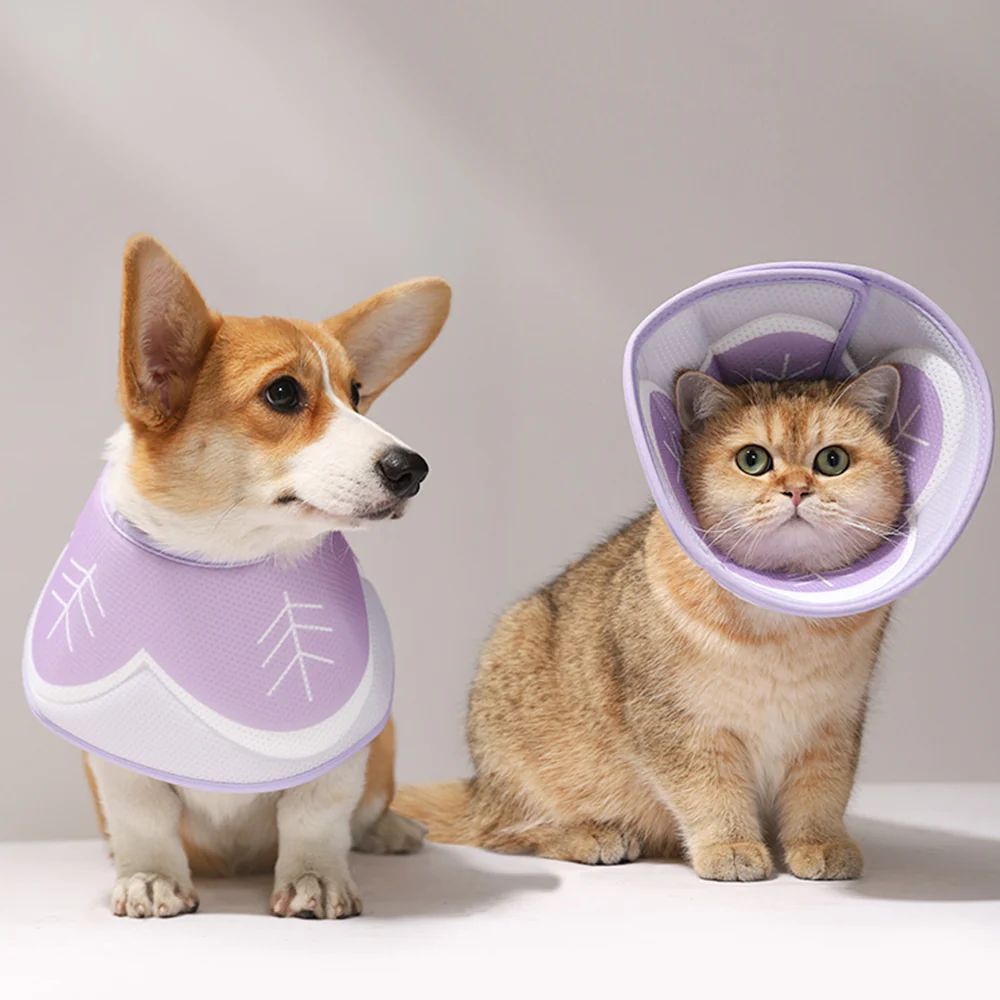 Pet Elizabethan Collar Purple - Image 3