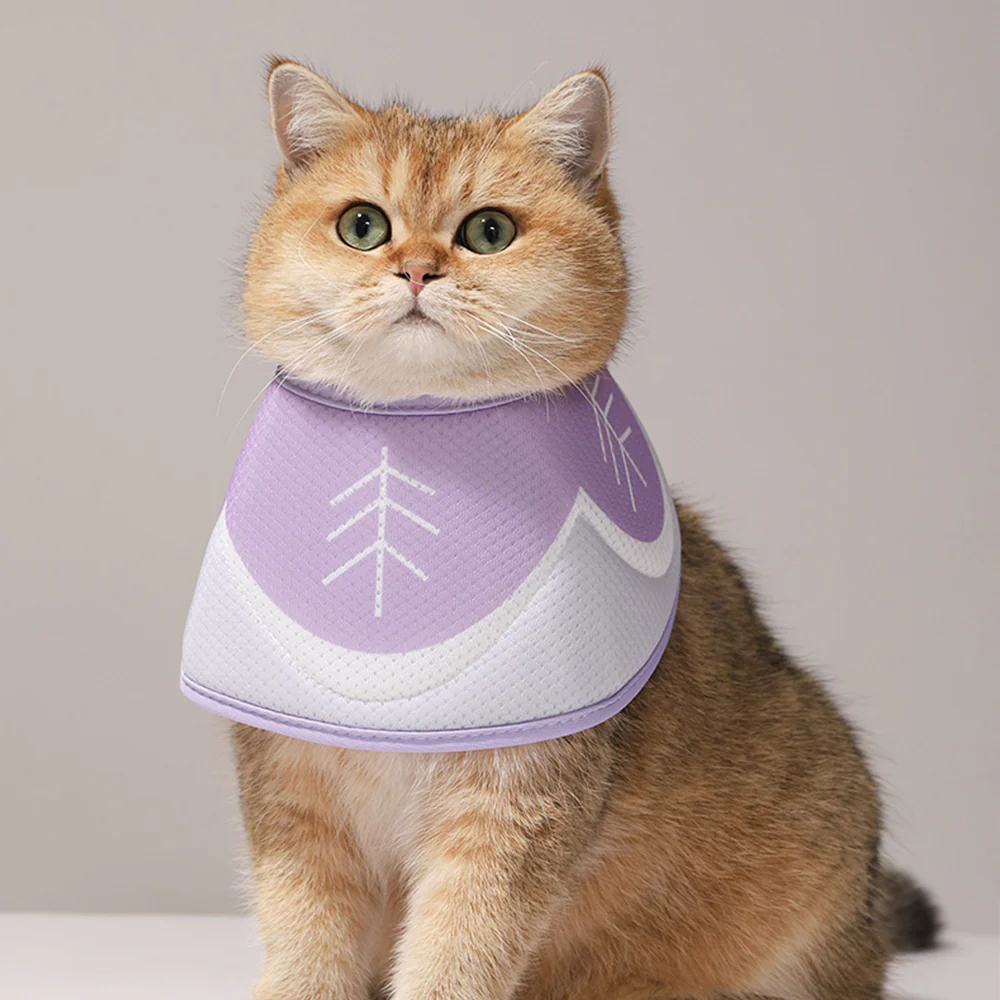 Pet Elizabethan Collar Purple - Image 4
