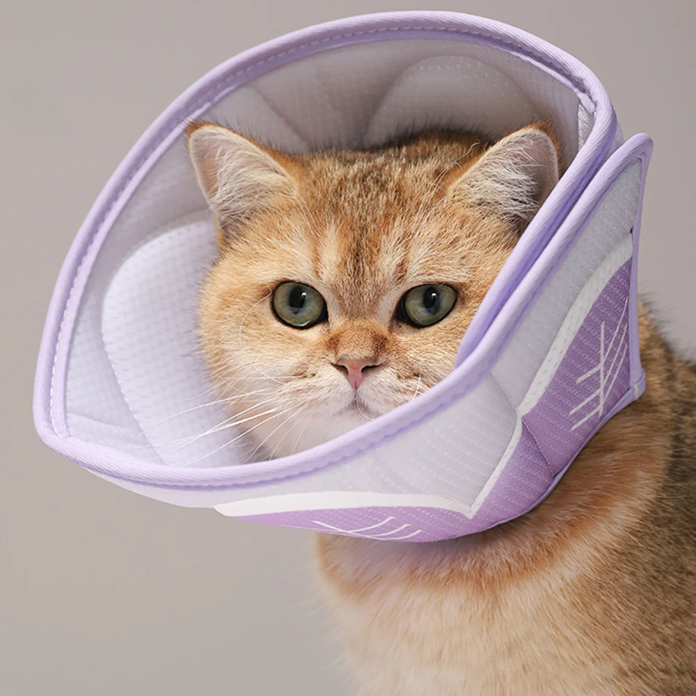 Pet Elizabethan Collar Purple - Image 5