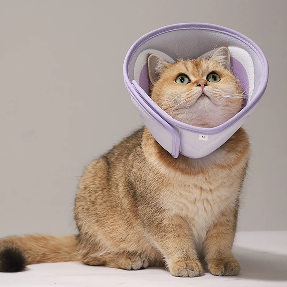 Pet Elizabethan Collar Purple - Image 6
