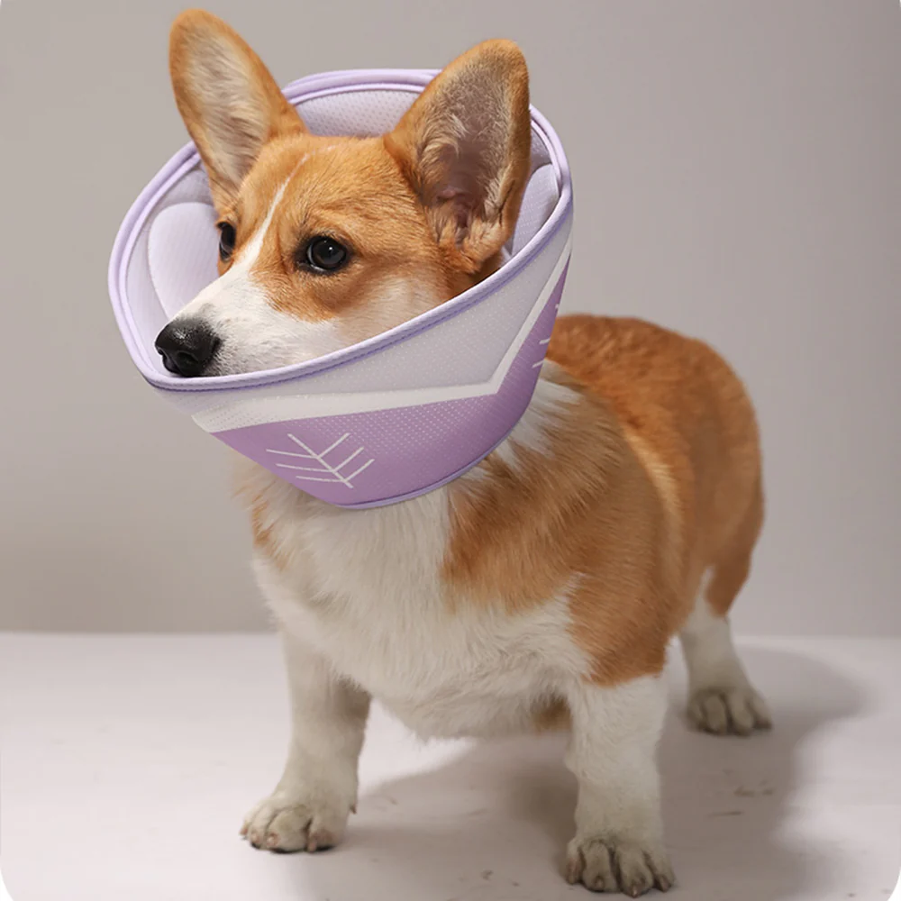 Pet Elizabethan Collar Purple - Image 7