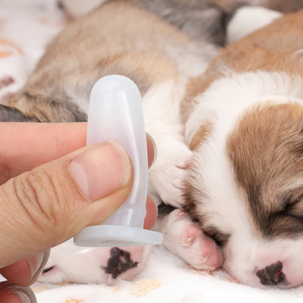 Pet Feeding Bottle Set – Newborn Puppy & Kitten Nursing Kit (PVC Storage Case) - Image 6
