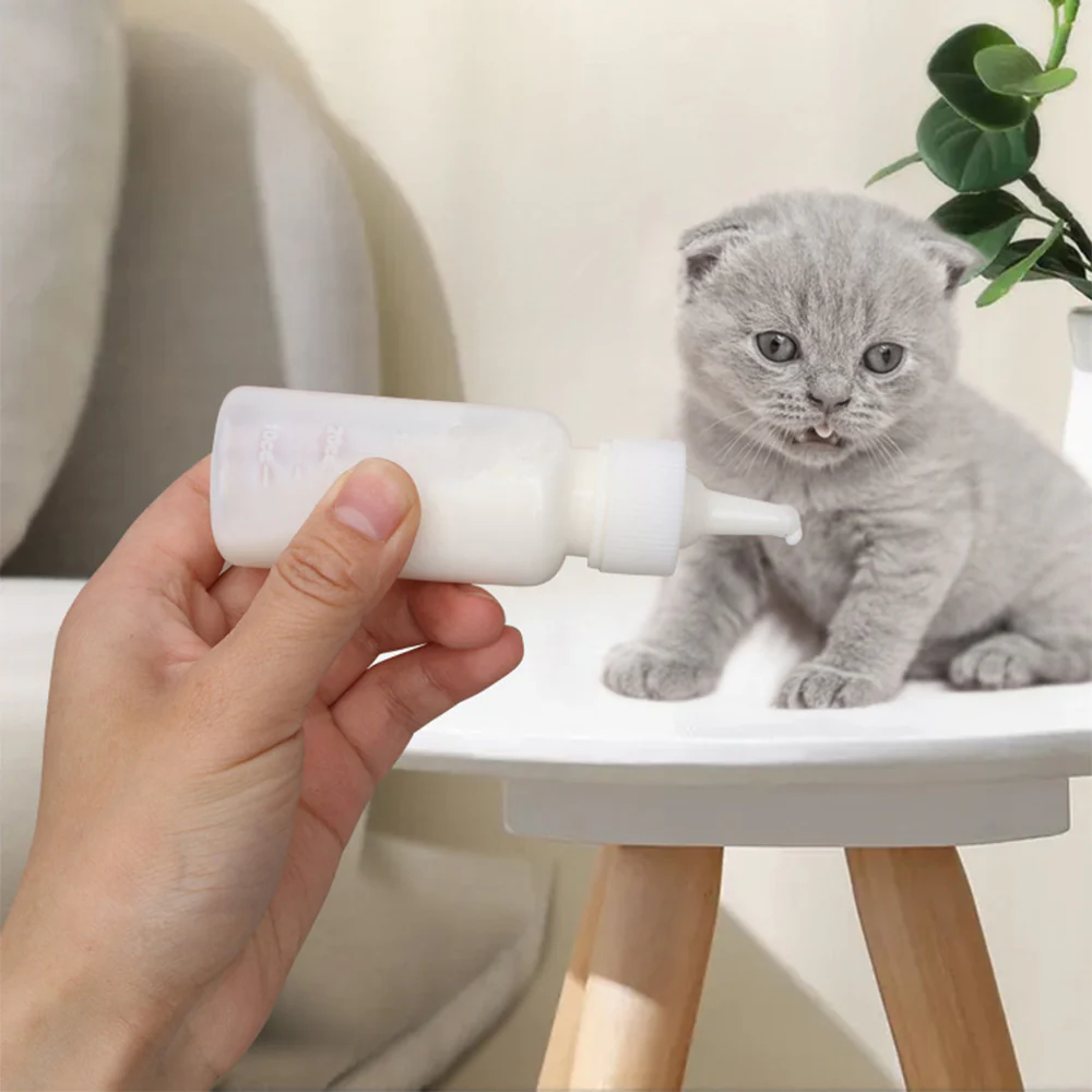 Pet Feeding Bottle Set – Newborn Puppy & Kitten Nursing Kit (PVC Storage Case) - Image 8