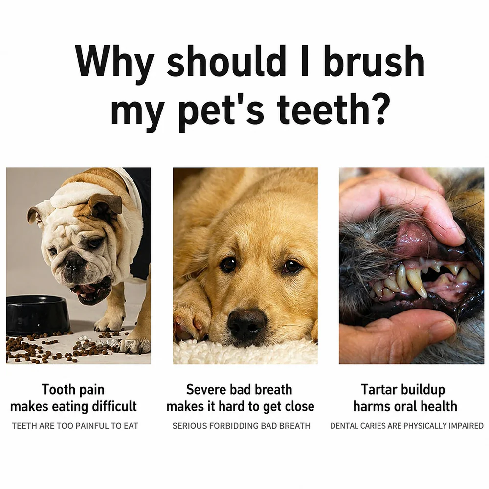 Pet Toothbrush – Silicone Dental Cleaning Brush for Cats & Dogs - Image 3