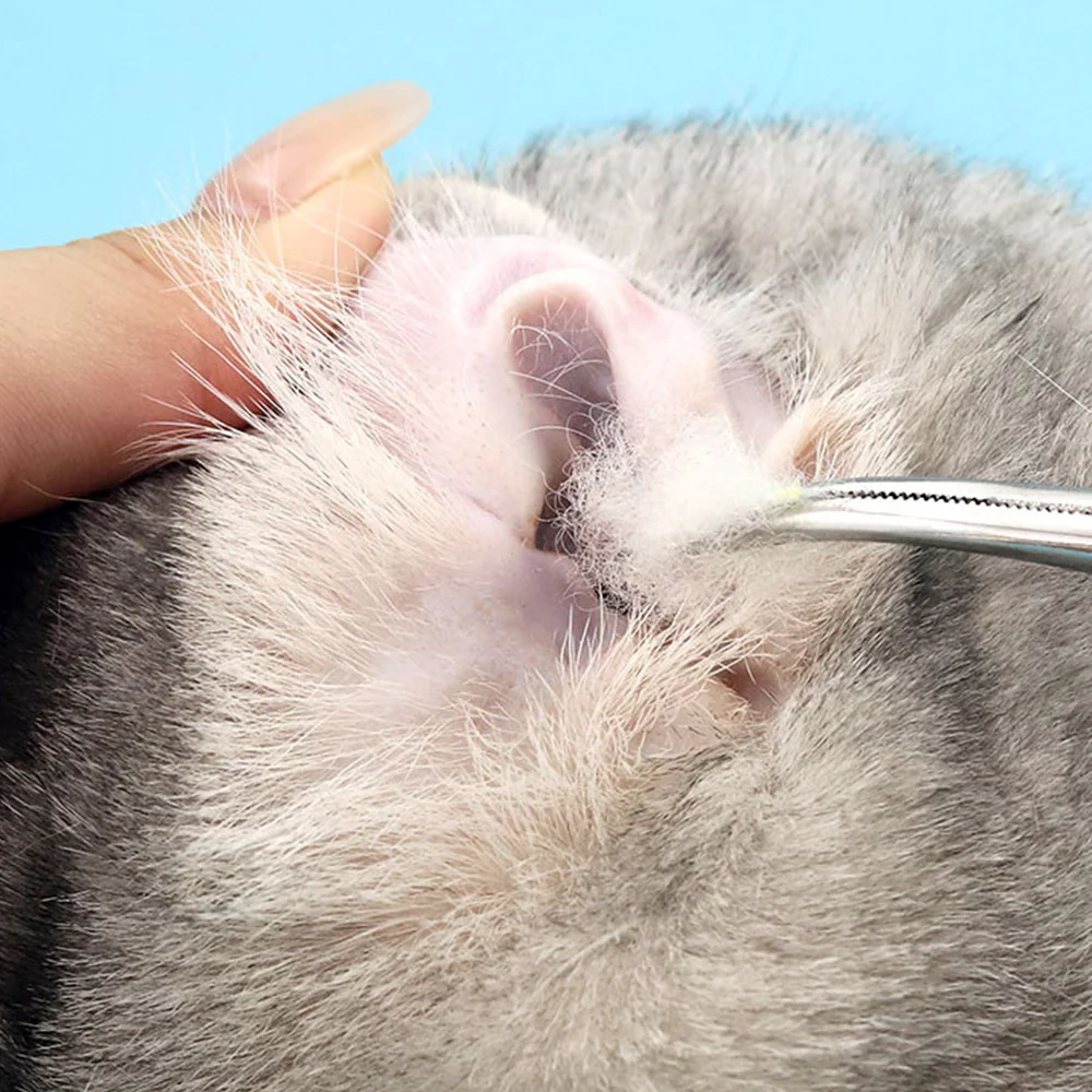 Pet Grooming Scissors | Stainless Steel | Cats & Dogs - Image 4