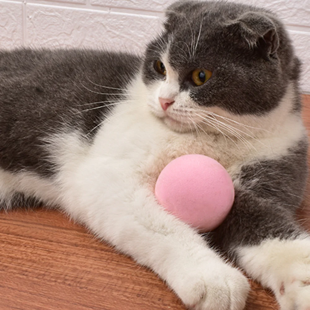 PETGRAVITY Smart Interactive Animal Sound Squeaking Ball Cat Toys - Image 3