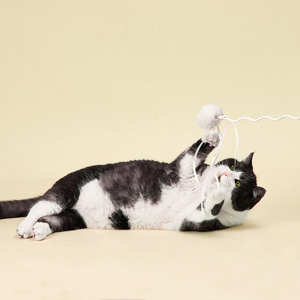 PETKIT Replacement Cat Wand Accessory - Image 3